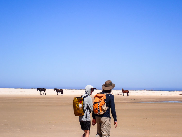 Kogelberg Nature Trail