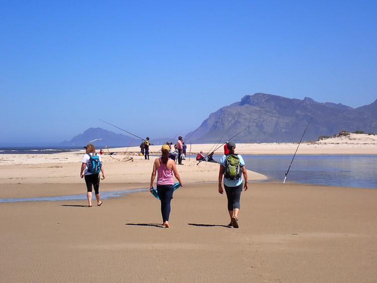 Kogelberg Nature Trail