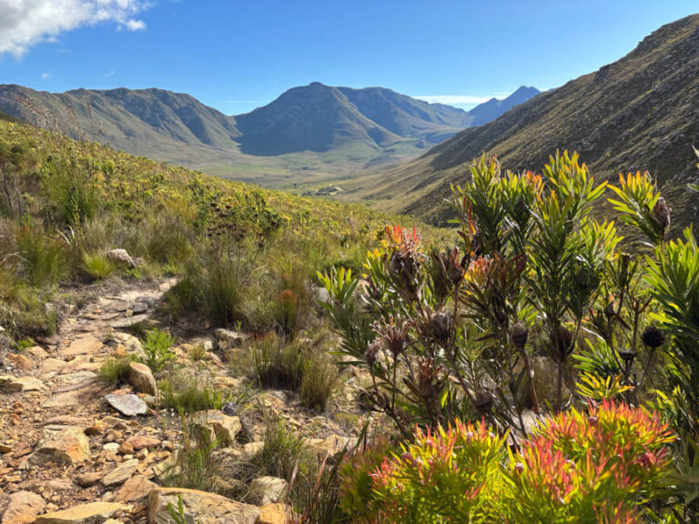 Secluded and pristine