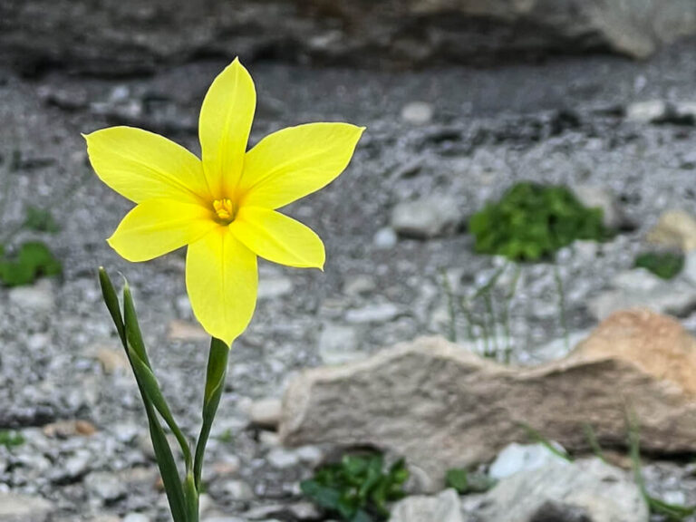 SA_KNT_HANGKLIP_2024_05_15_28