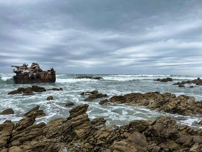 PHOTO-2024-09-26-06-54-18 (7)